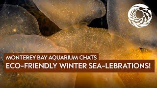 Sustainable sea-lebration & gift giving tips with the Aquarium’s Conservation and Science Team!