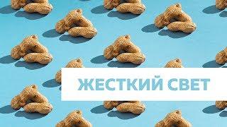 Фотосъемка еды | Жесткий свет | Схема света #4