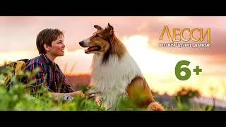 Лесси. Возвращение домой / Lassie Come Home (2020)