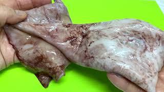 How to clean squids and cook them correctly and quickly