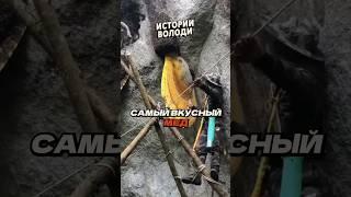 Самая сложная РАБОТА 