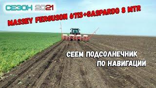 MASSEY FERGUSON 6713 сеет подсолнечник по навигации с GASPARDO 8 MTR