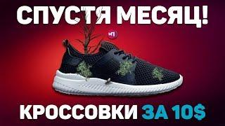 КРОССОВКИ ЗА 10$ СПУСТЯ 1 МЕСЯЦ ЭКСПЛУАТАЦИИ !