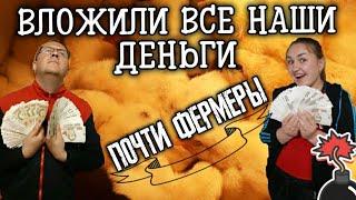 Сельское хозяйство /Мини ферма Итоги за год:300 голов птички