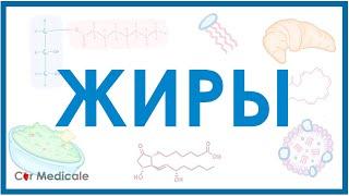 Жиры - насыщенные, ненасыщенные, омега-3/6/9, суточная потребность