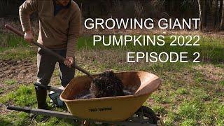 Growing Giant Pumpkins 2022 Episode 2 - Seed Starting