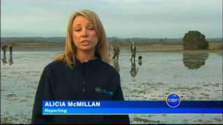 Duck Hunting 2010 - Ten News