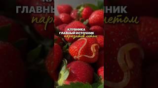 КАК ПРАВИЛЬНО МЫТЬ КЛУБНИКУ?  #клубника #клубничноеваренье #клубничныйторт #клубникавшоколаде