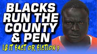 Blacks Run The County Jail & 4 Yard Prison System, Lefty Gunplay Daughter Catches A Stray !!!