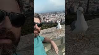 castelo de sta barbara,spain#spain #castelos #valencia #viajandopelomundo #travel #linkinpark #music
