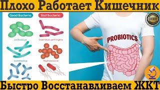 Плохо работает кишечник и желудок! Вздутия, боль и дискомфорт в ЖКТ до и после еды !