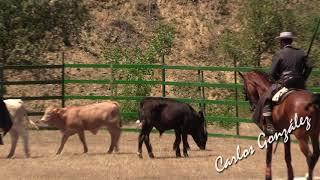 Prueba de la Vaca. Equipo Andalucía