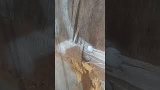 Possible Security breach/Insecure Premise (Keep your Rent Part II)