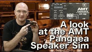 A look at the AMT Pangaea CP100 IR Speaker Sim