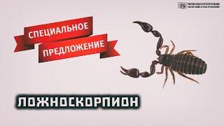 Скорпионы для книголюбов. Специальное предложение. // Clever Cricket