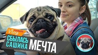 Chubaka Vlog! Сбылась Сашина мечта!