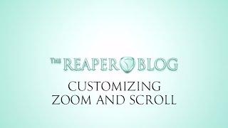 Customizing Zoom and Scroll in REAPER