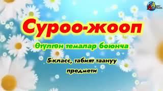 Суроо-жооп викторинасы. Табият таануу предмети боюнча даяр көрсөтмө материал.