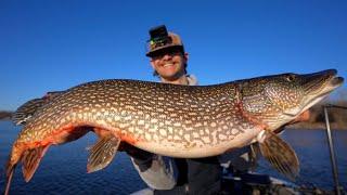 Fishing TROPHY PIKE in MINNESOTA!