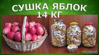 Как высушить яблоки в сушилке для фруктов? Нарезка и очистка 14 кг яблок за 20 минут.