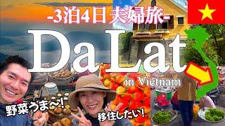 [Dalat] Hidden Gem 1 Hour from Da Nang: 3-Night Gourmet & Relaxing Trip for Couples / Hotel Tips