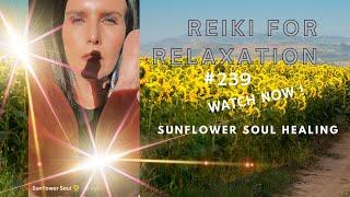 TikTok Reiki Live #239 Rebroadcast #reiki #energyhealing #reikihealing #reikienergy #reikiasmr