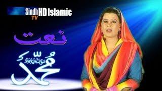 Saleallahhoo | naheed ali | Sindhi Naat | SindhTVHD ISLAMIC