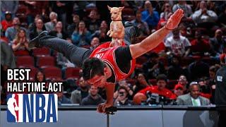 Puppy Steals The Show During NBA Halftime | Castoinev and Scooby