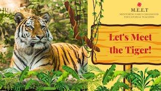 Let's meet the Tiger