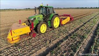 Uien rooien / Onion harvest / Zwiebeln roden / MacLouis / John Deere