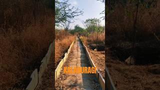 Hidden gem of kalaburagi #travel #kalaburagi #gulbarga #indiansolotraveler #karnatakatravelvlog