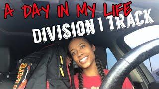 A Day in the Life of a D1 Athlete VLOG *Quarantine Edition*