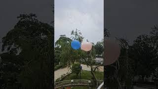 Mawakalipothundhi