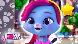  PONTE en mi LUGAR  NUEVA temporada  VIP PETS  GLAM GEMS  DIBUJOS ANIMADOS en ESPAÑOL