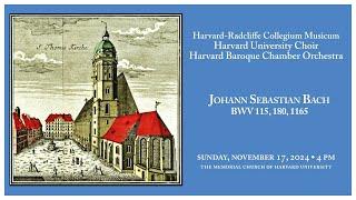 Johann Sebastian Bach's 1724 Chorale-Cantata Cycle