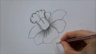 How To Draw a Flower step by step In 6 Minutes!