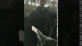 Kaktus Media. Рейд госструктур и активистов по фирмам, где работют иностранцы