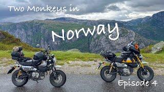 Two Monkeys in the Norwegian mountains! Ep 4