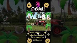 How to grow Bananas in Sotera Farm.