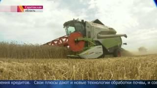 Сюжет Первого канала про уборочную кампанию в Саратовской области