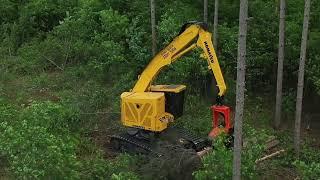 Komatsu XT445 tracked harvester and feller buncher customer testimonial