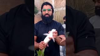 etni bri fish ۔ Fishing In zoo | Cini Mini Zoo #fishing #vlog