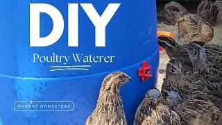 DIY Poultry Waterer: Easy and Affordable Solution with RentACoop Water Nipples!