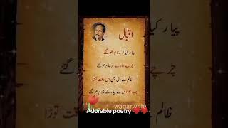 #allamaiqbalpoetry#shorts#urdushayari#urdupoetryshorts#viralpoetry#trendingpoetry#motivationalpoetry