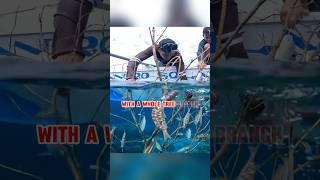 Branch fishing #fishing #skills