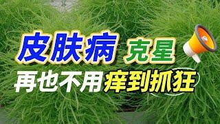 #古法养生 传承千年的中医外治古法，对抗皮肤病有奇效，再也不用被瘙痒困扰