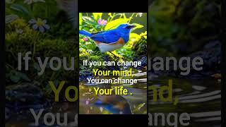 Motivational quotes।#motivation #motivationalquotes #lifequotes #quotes #shorts