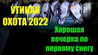 УТИНАЯ ОХОТА 2022. Первый снег. Классные налеты уток. Массовый пролет белолобого гуся.