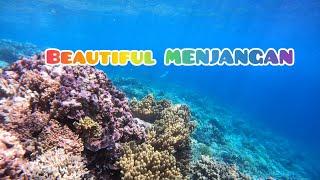 MENJANGAN ISLAND: Beautiful Indonesia/Serunya snorkling di Menjangan  #travel #indonesia #fish