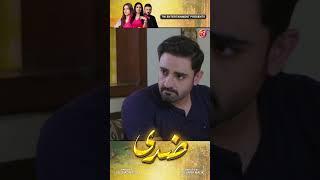 Dua abhi nai nai is maidan mein utri hai | Ziddi | Episode 19 | AAN TV